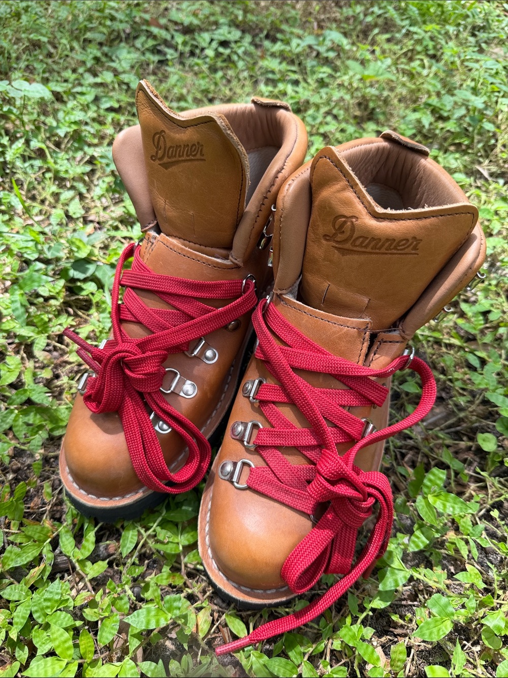 Danner Cascade Clovis Mountain Light Women’s Boots